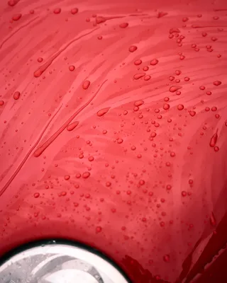 אוטם צבע קרמי מרוכז בהקצפה/מרסס - +Yum FOAM