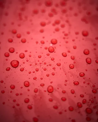 אוטם צבע קרמי מרוכז בהקצפה/מרסס - +Yum FOAM