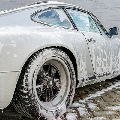 שמפו קדם שטיפה אלקלי - labocosmetica PRIMUS 2.0